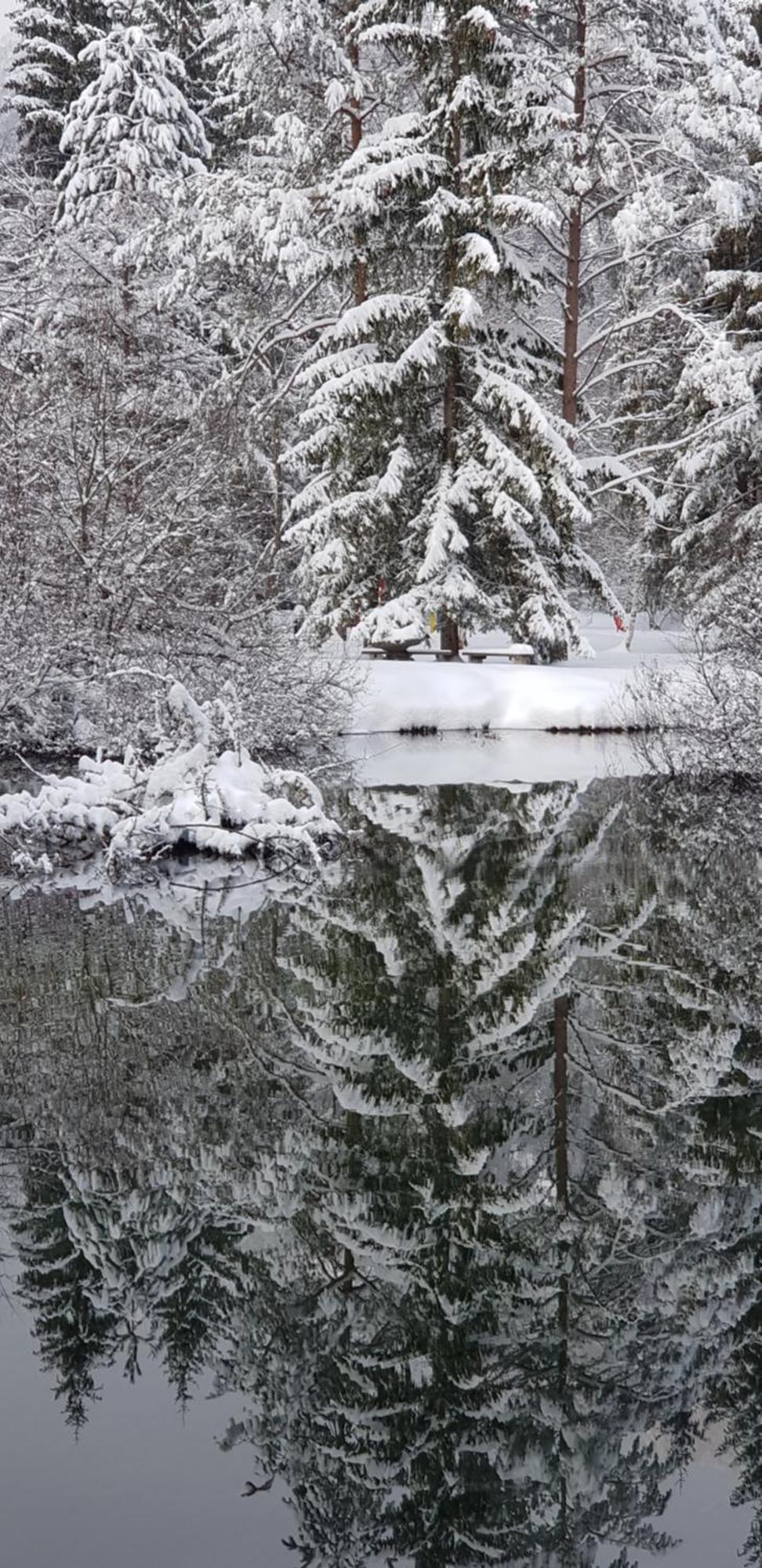 Zajcek Apartma Mojstrana Exterior foto