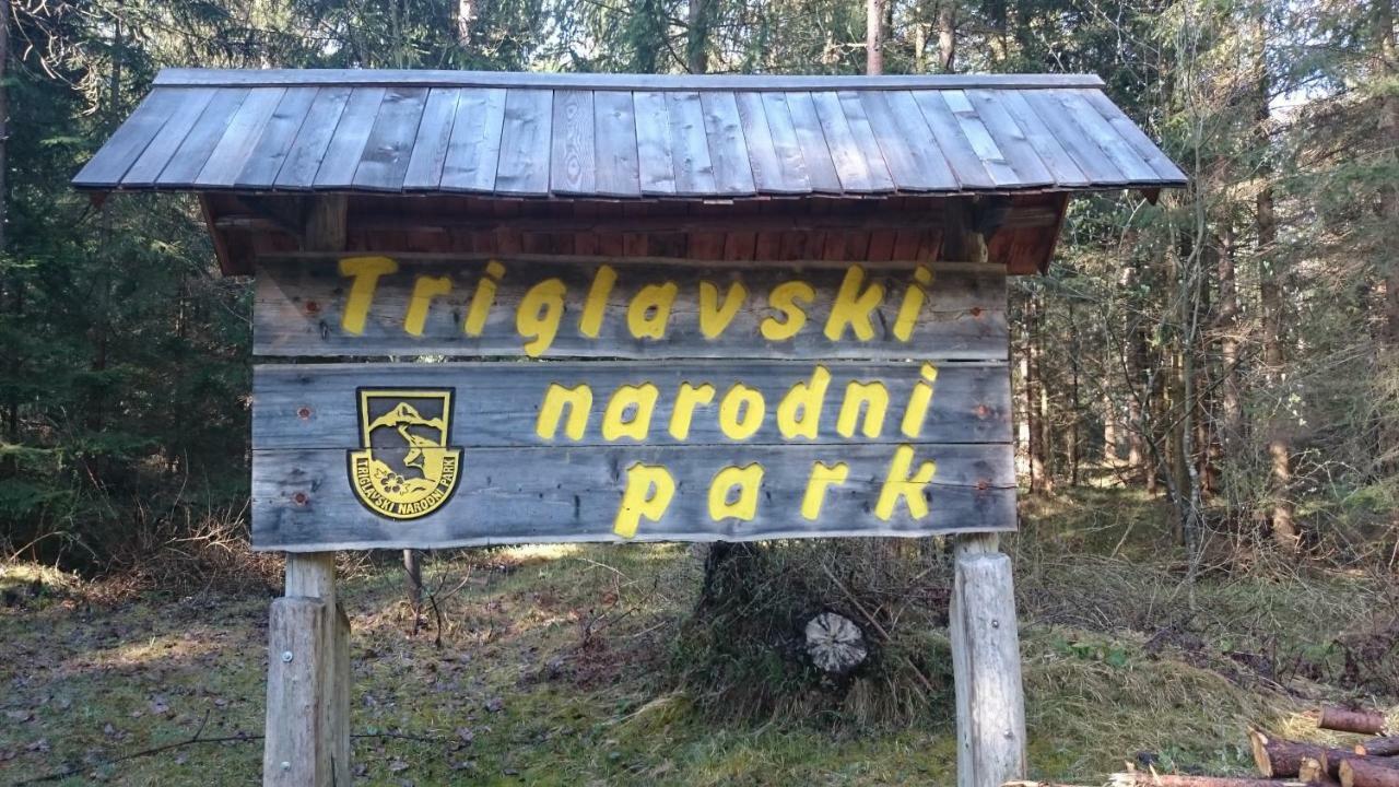 Zajcek Apartma Mojstrana Exterior foto