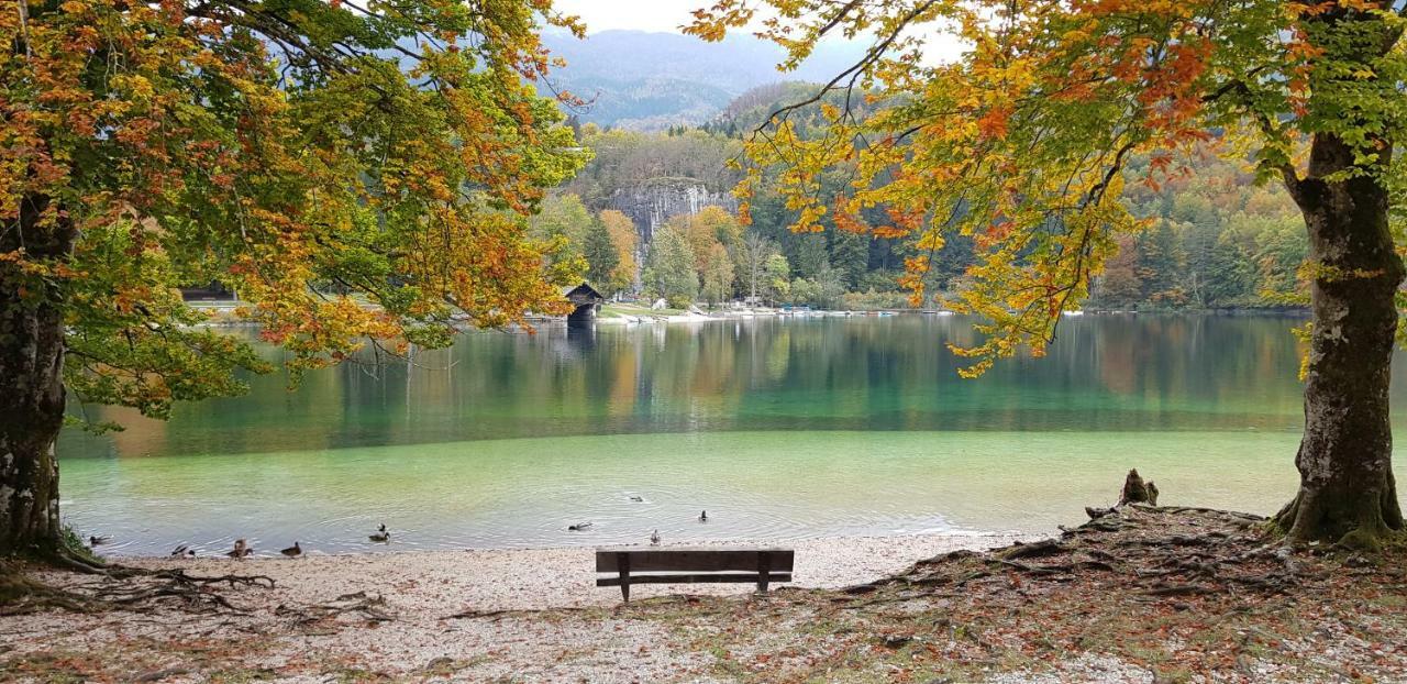 Zajcek Apartma Mojstrana Exterior foto