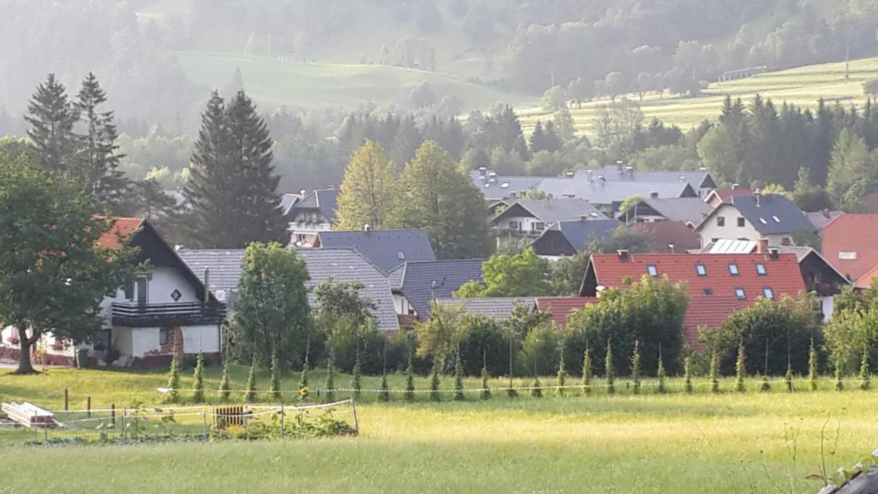 Zajcek Apartma Mojstrana Exterior foto